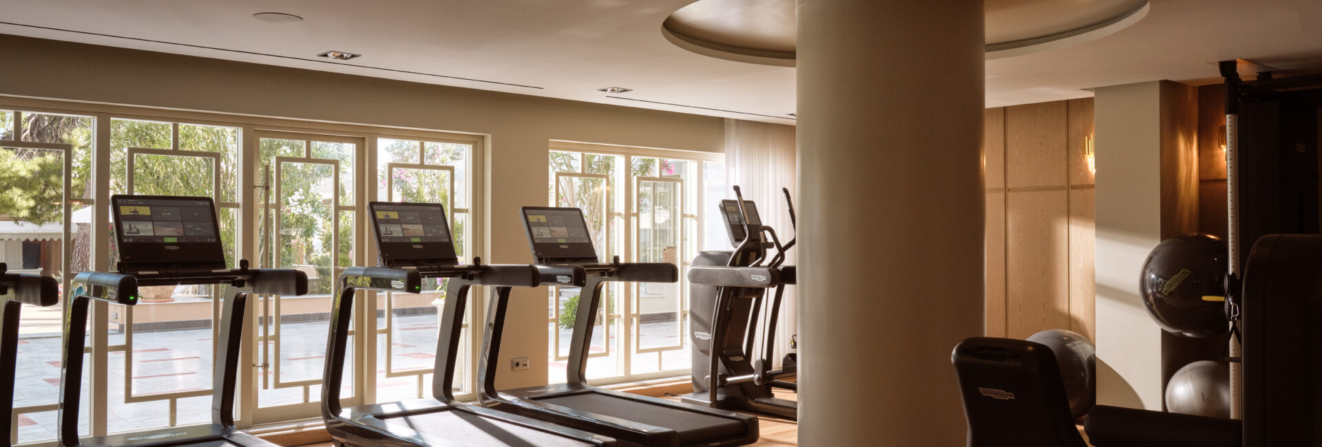 The Danai - Gym