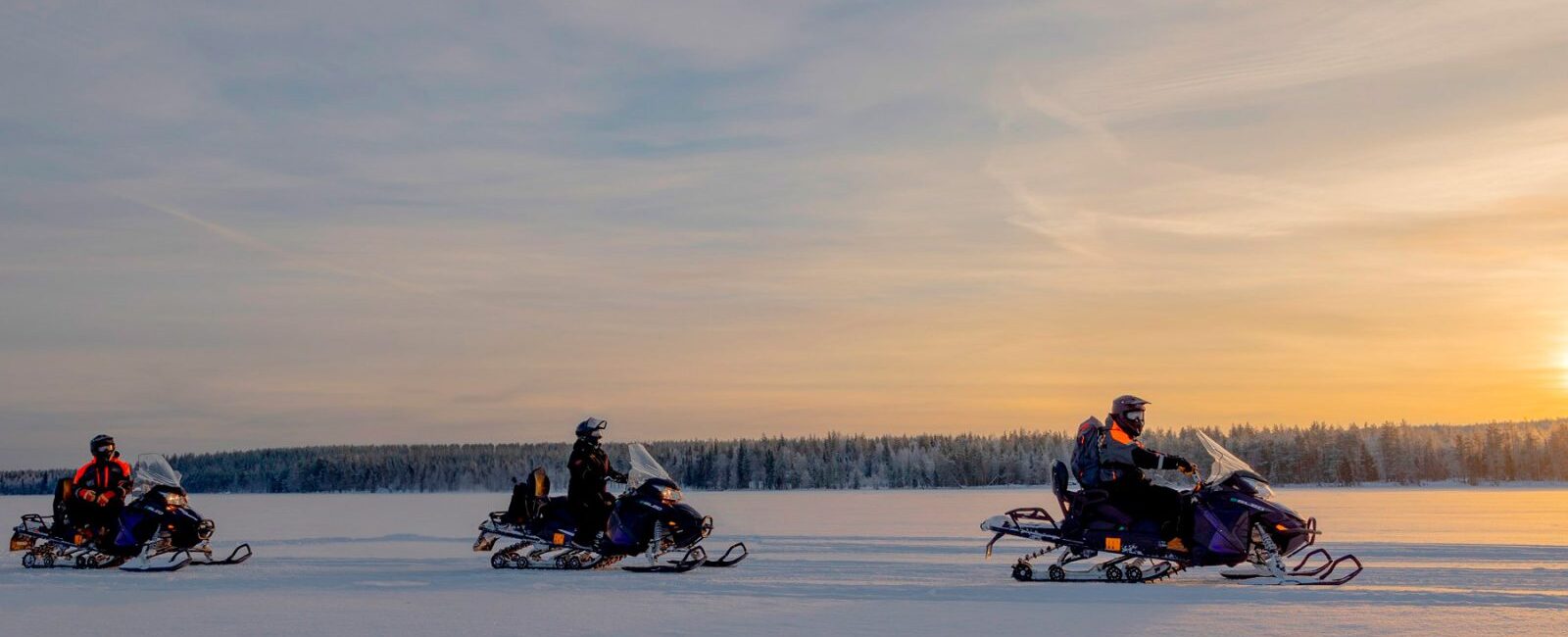 Arctic TreeHouse Hotel - Snowmobile